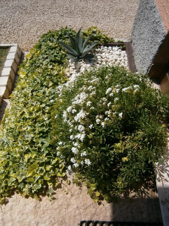 بيسكانتينا B&B Carmen Biondani المظهر الخارجي الصورة